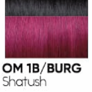 OM 1B/BURG