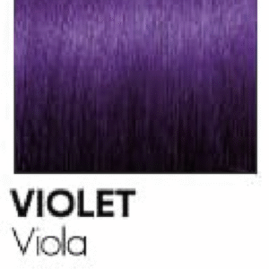 VIOLET - VIOLA
